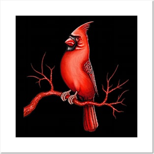 Red Cardinal bird cute cardinal Posters and Art